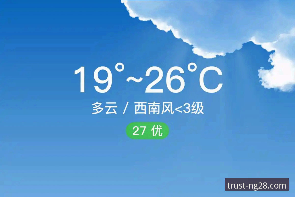 南宫28APP下载与使用全攻略：新手入门详解